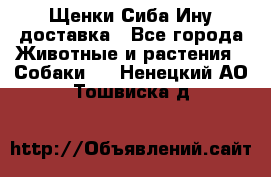 Щенки Сиба Ину доставка - Все города Животные и растения » Собаки   . Ненецкий АО,Тошвиска д.